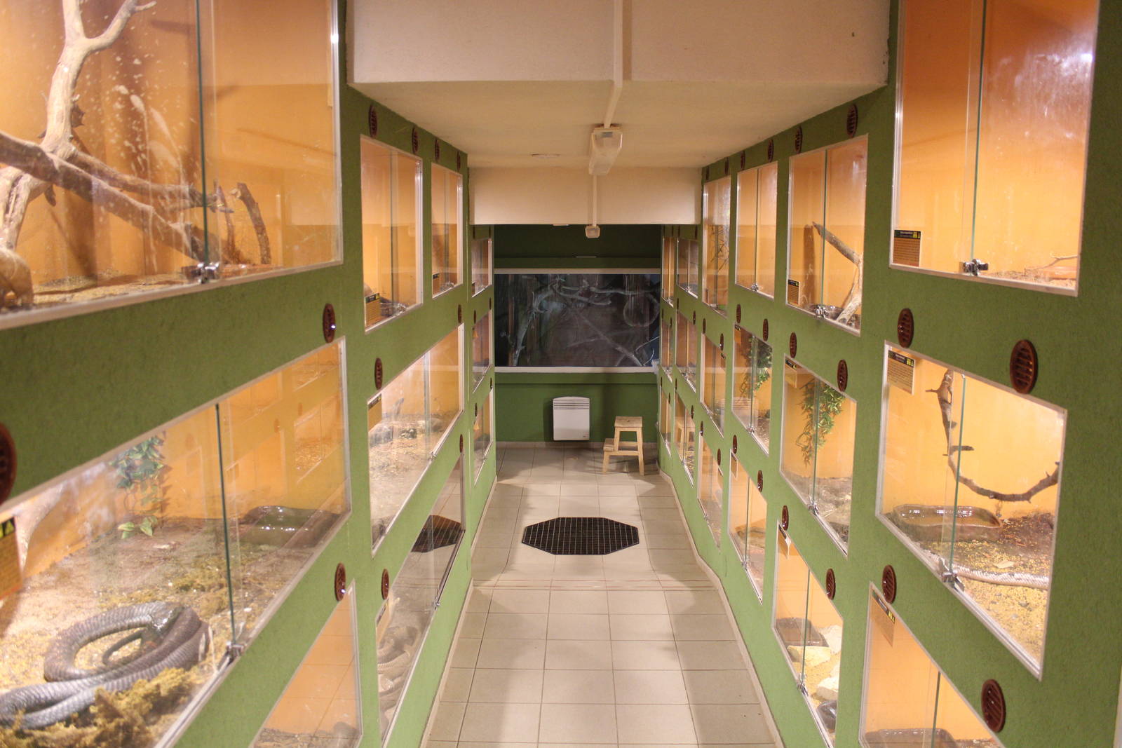 Cobra House, Dvorec Zoo