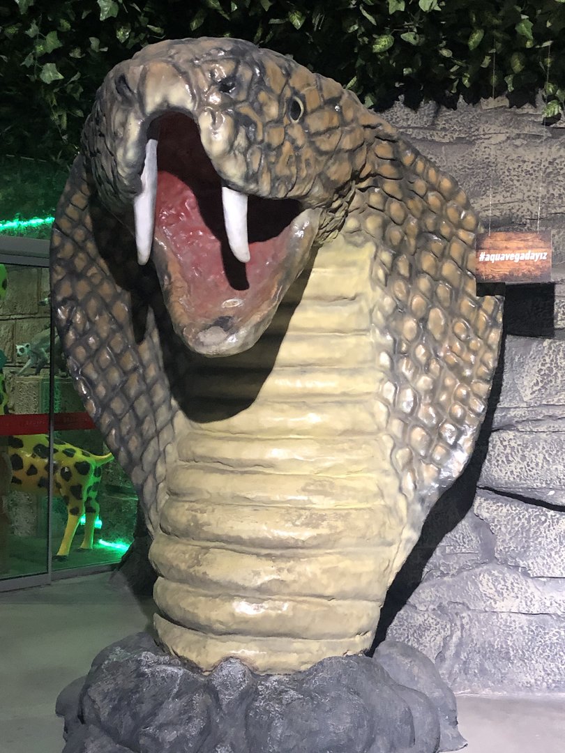 Cobra Photo Prop at Aqua Vega