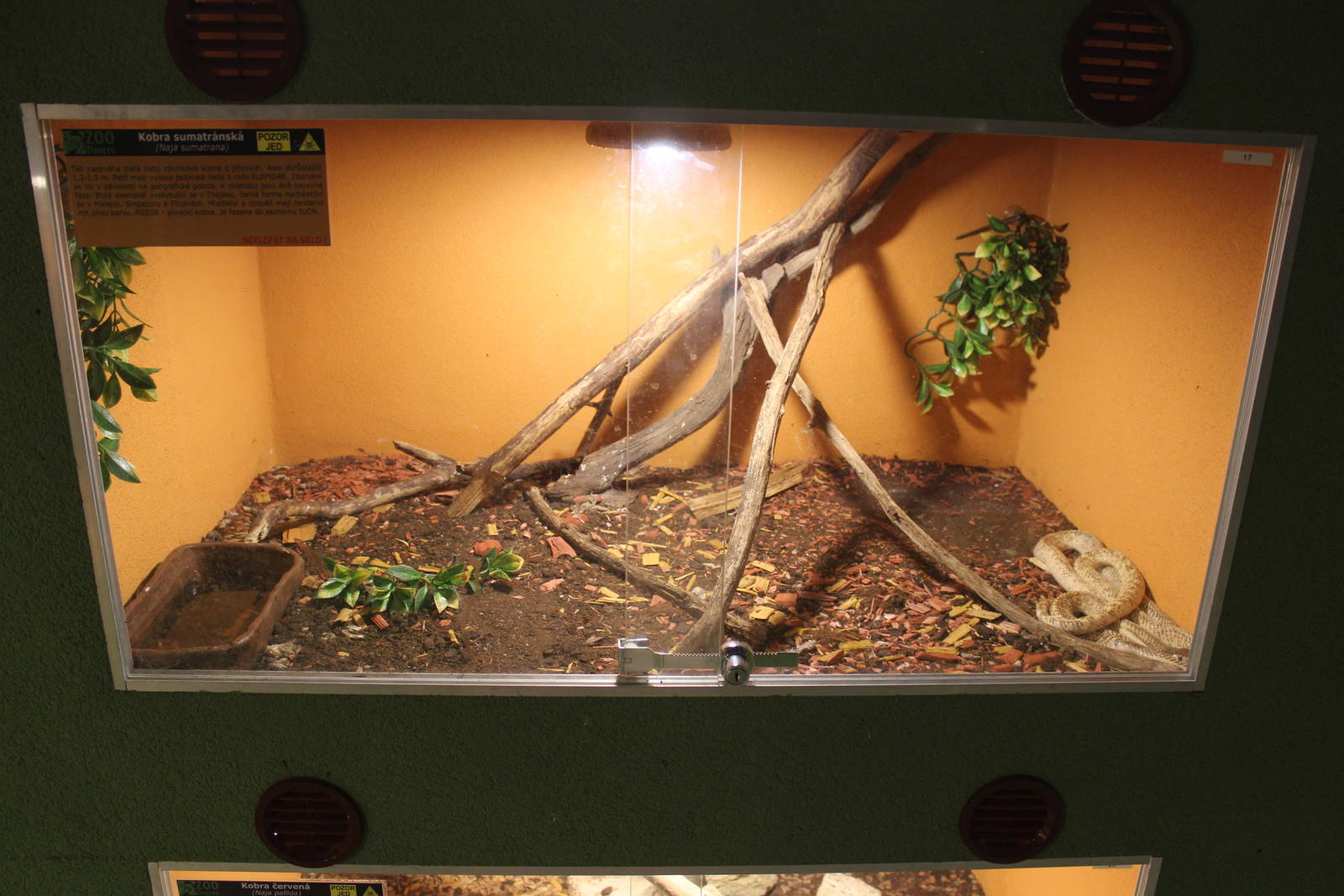 Cobra vivarium, Dvorec Zoo
