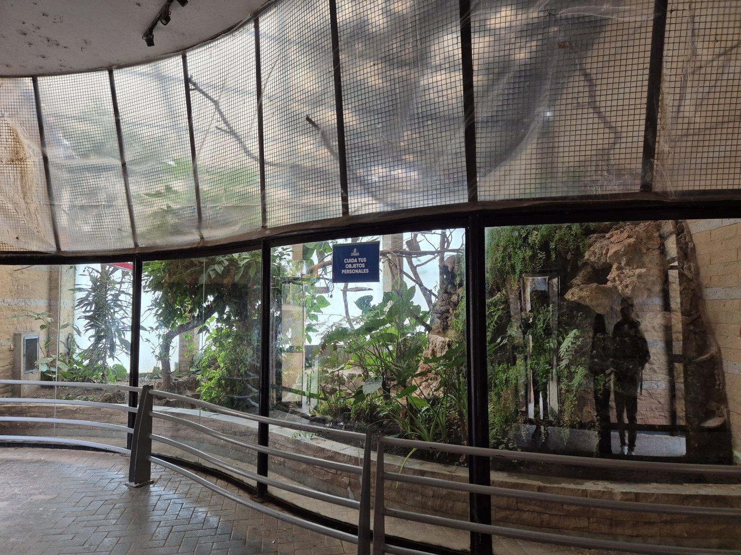 Cock-of-the-Rock House