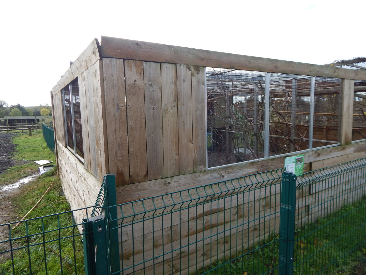 Cockatiel aviary 231022