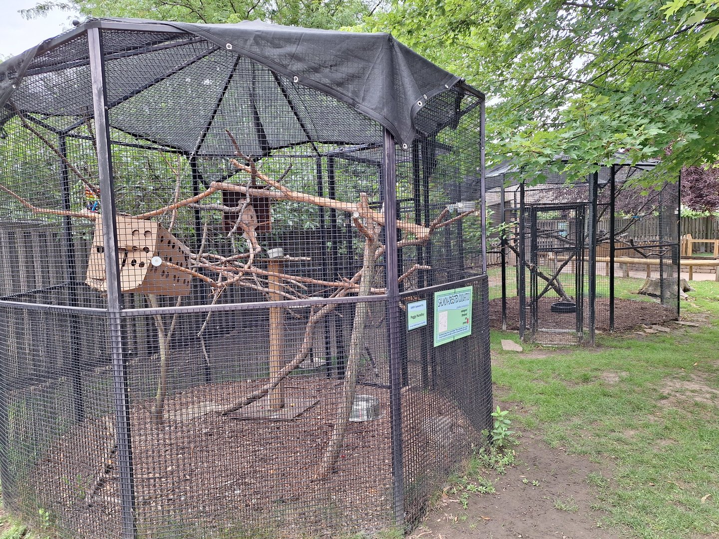 Cockatoo and Frogmouth enclosures