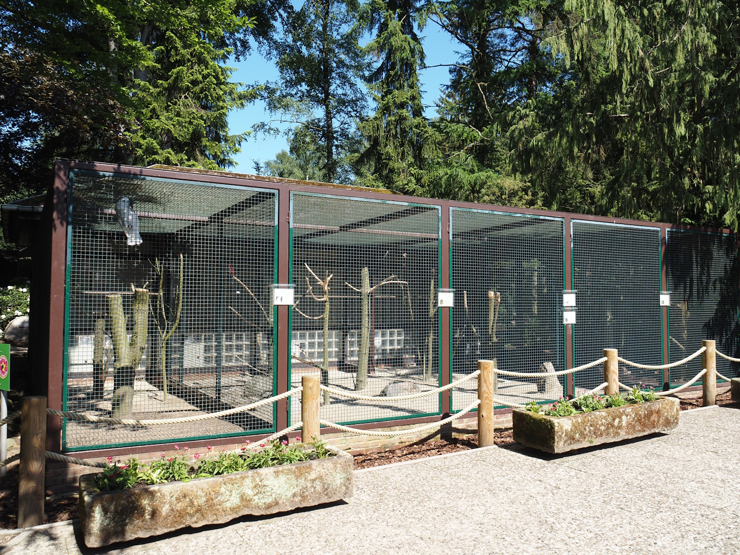 Cockatoo and kea aviary block, 2024-05-23