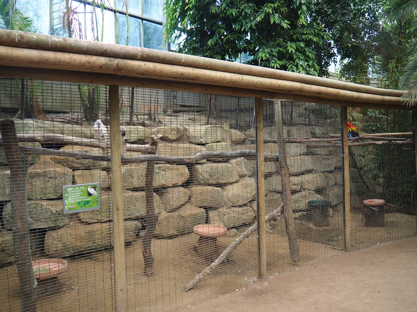 Cockatoo and macaw aviaries (Aug 28th, 2018)