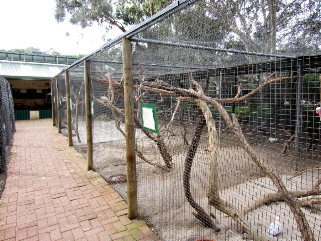 Cockatoo and Parrot aviaries