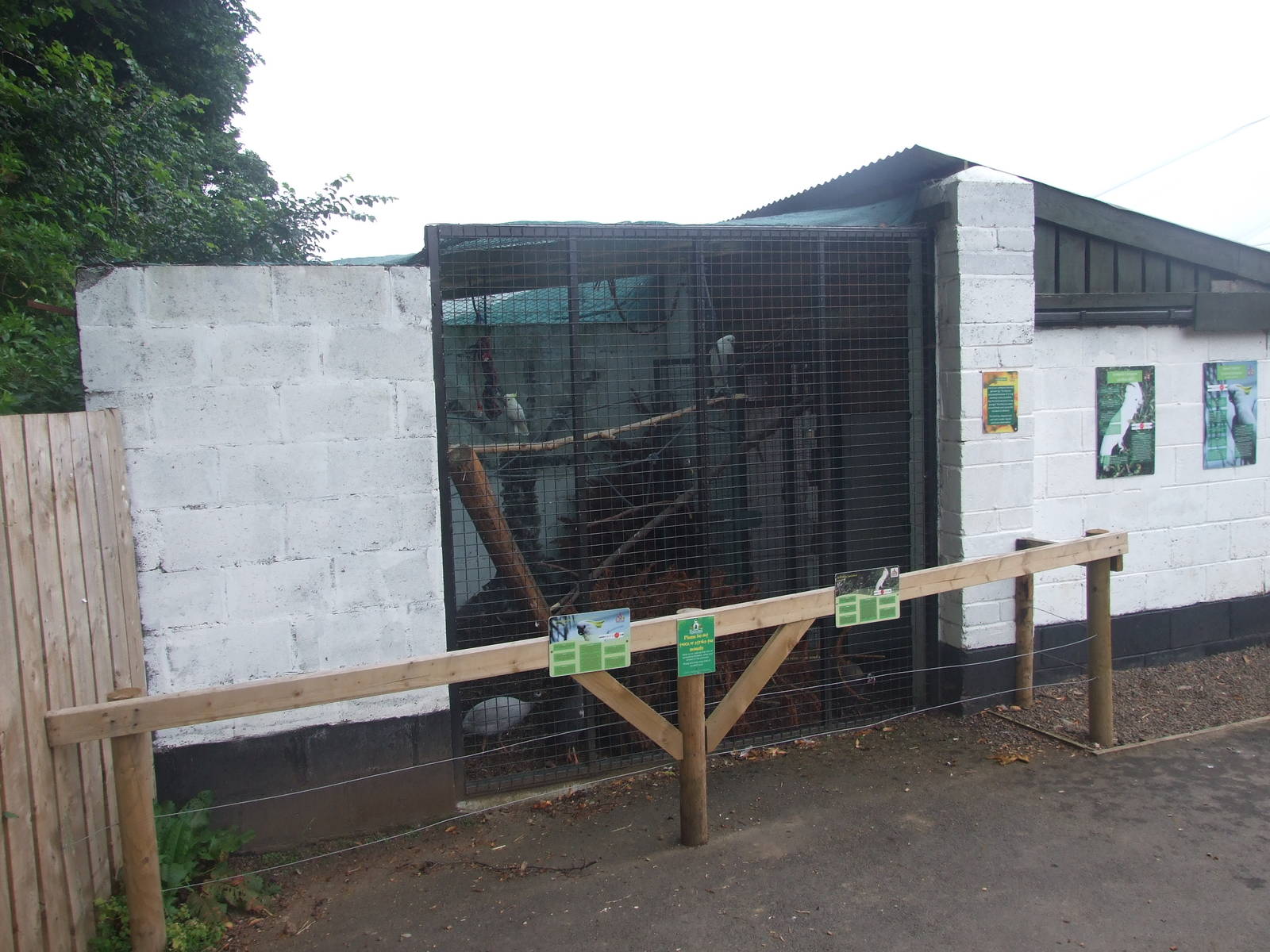 Cockatoo and Tragopan Enclosure