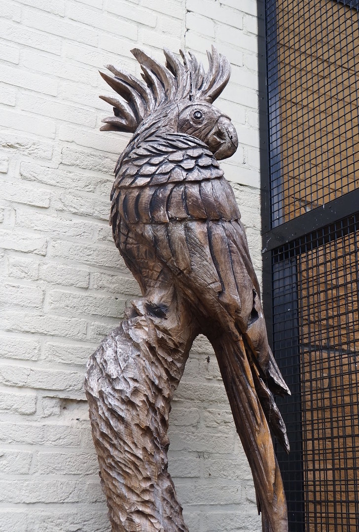 Cockatoo artwork, 2022-08-28