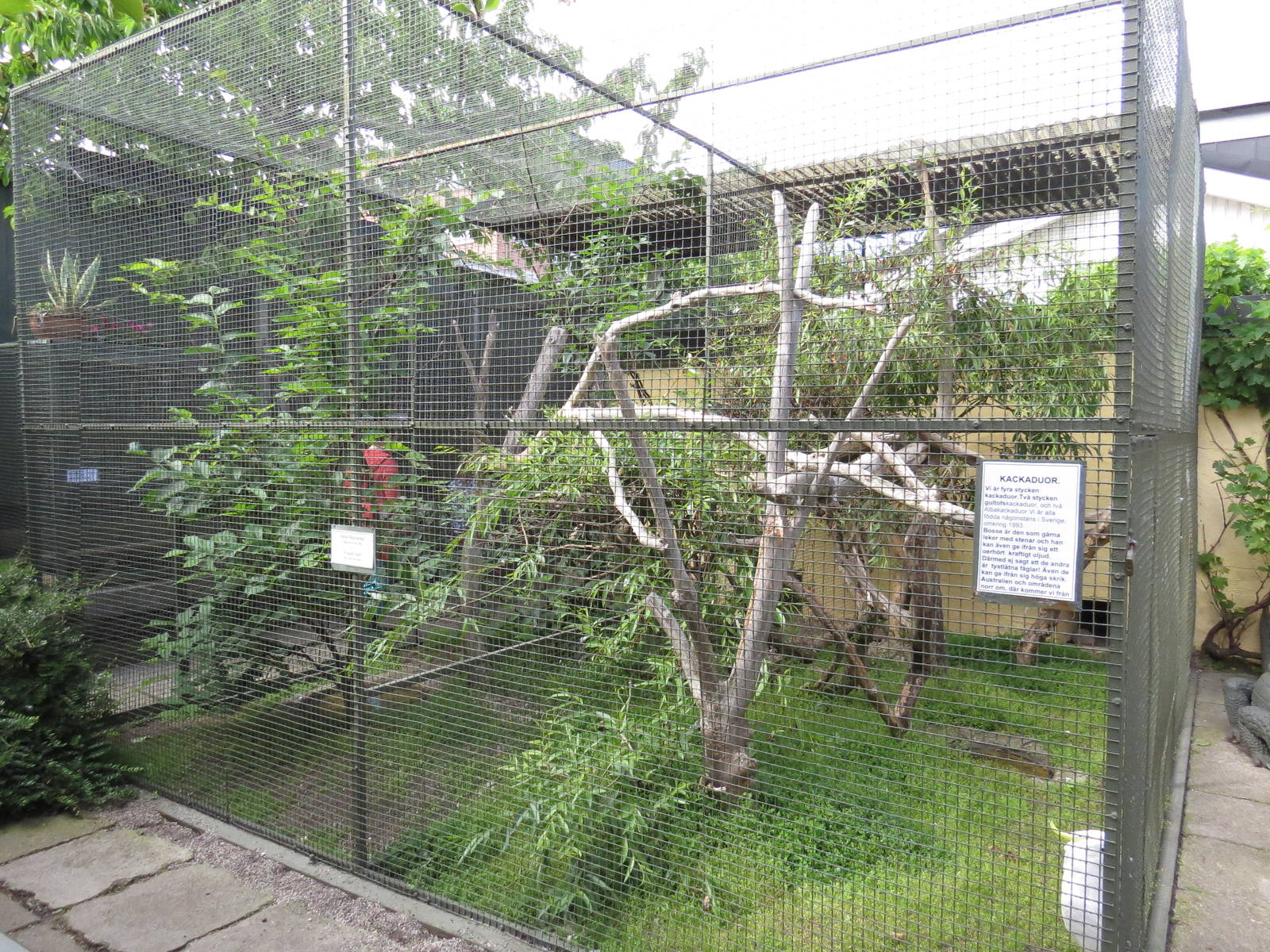 Cockatoo aviaries, June 2015