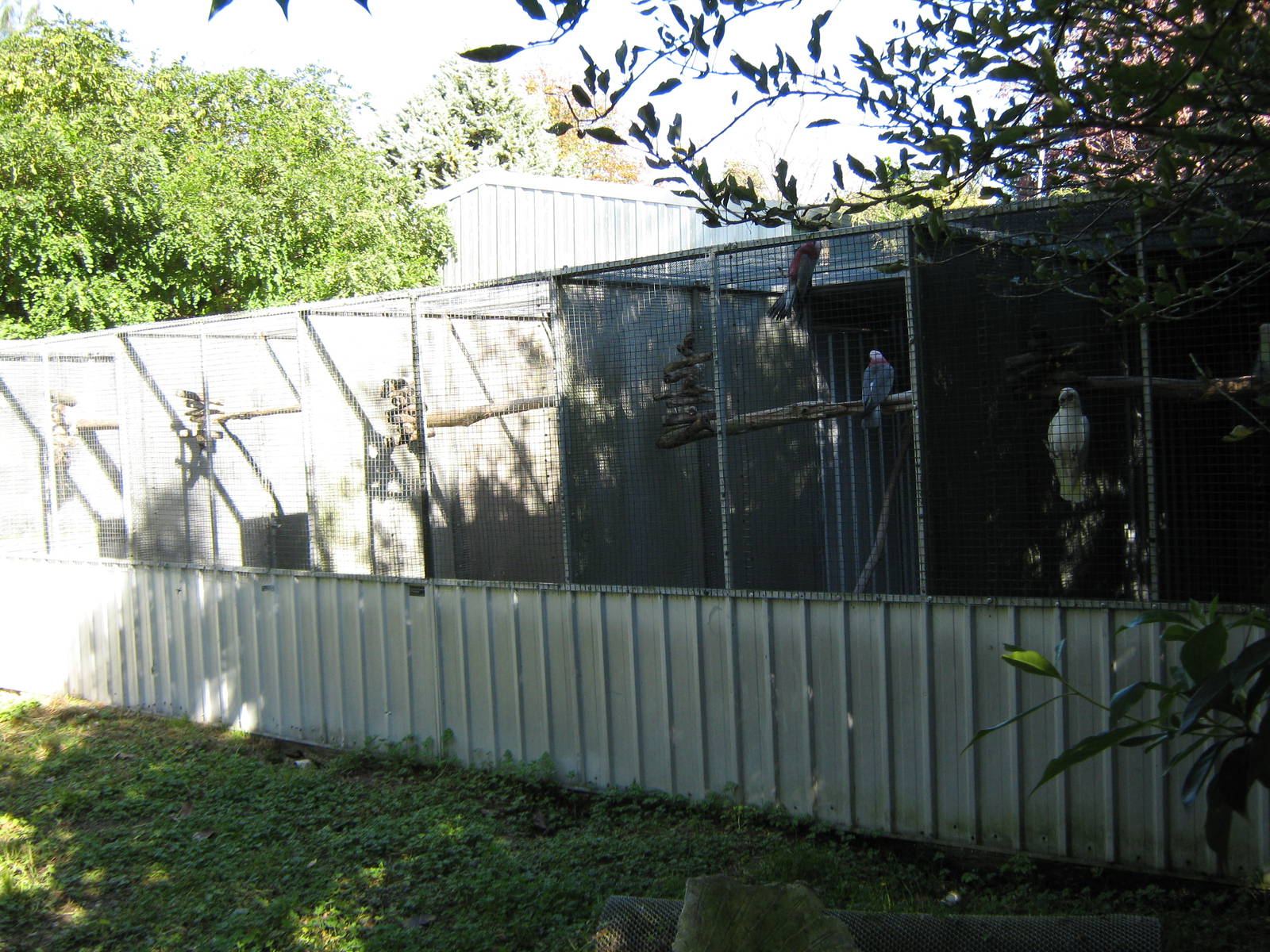 cockatoo aviaries, Parrot Ranch