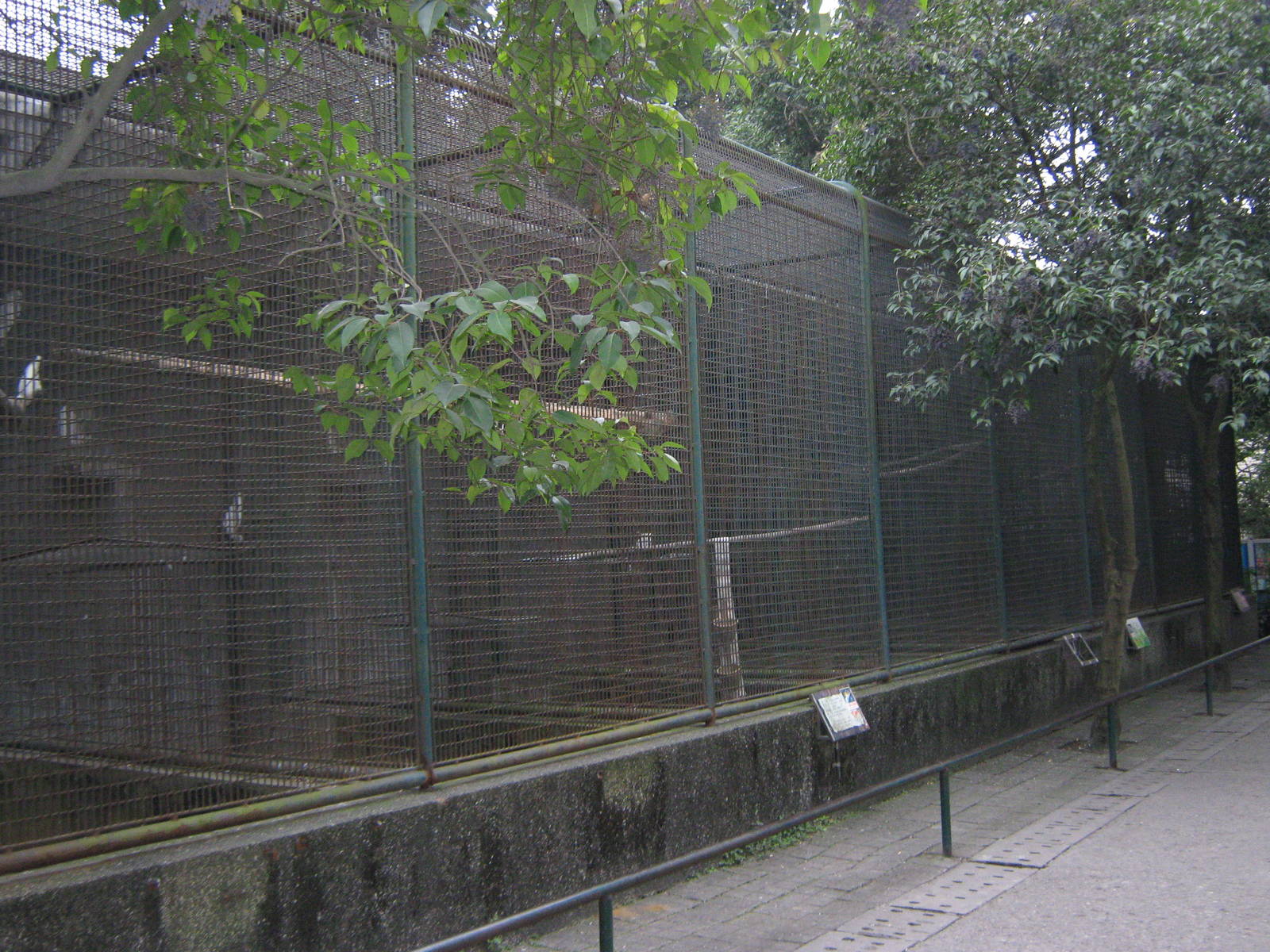 cockatoo aviaries