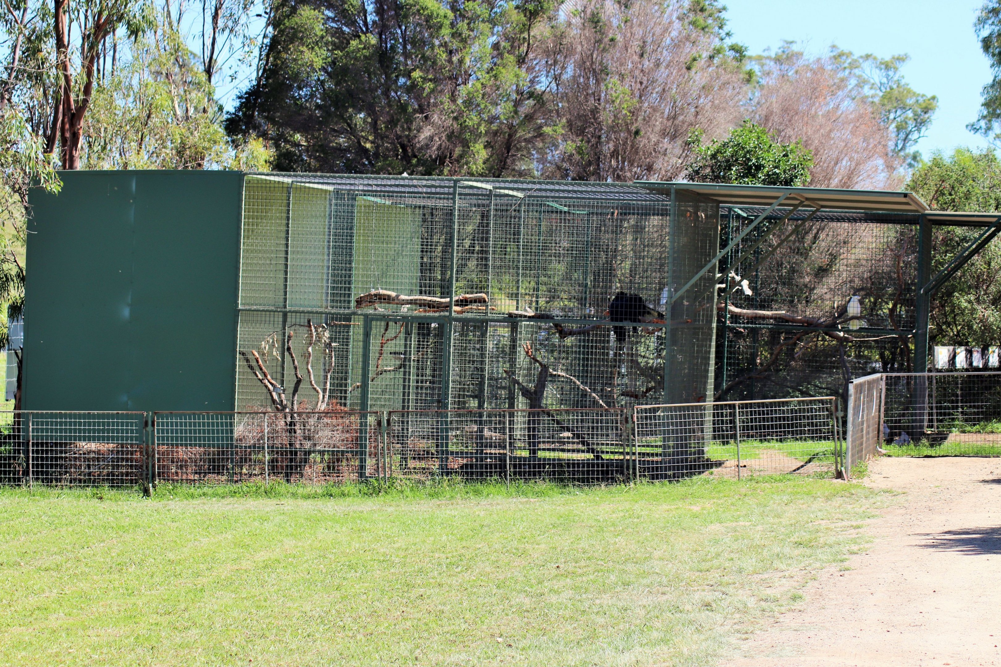 Cockatoo Aviaries