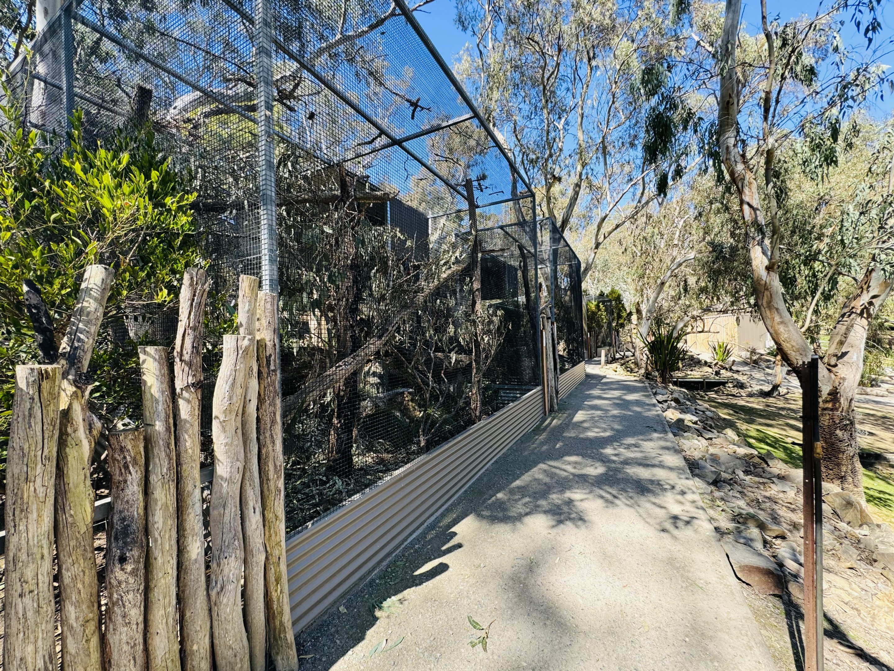 Cockatoo aviaries