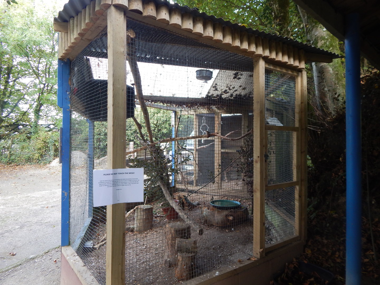 Cockatoo aviary 151022