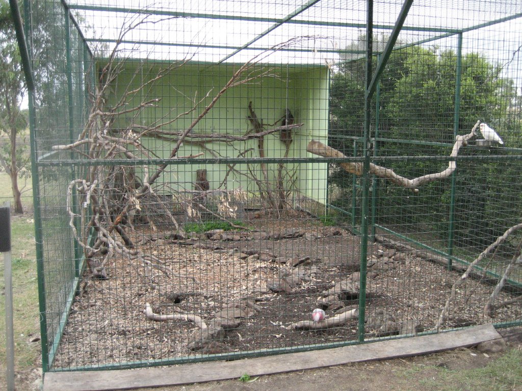 Cockatoo Aviary