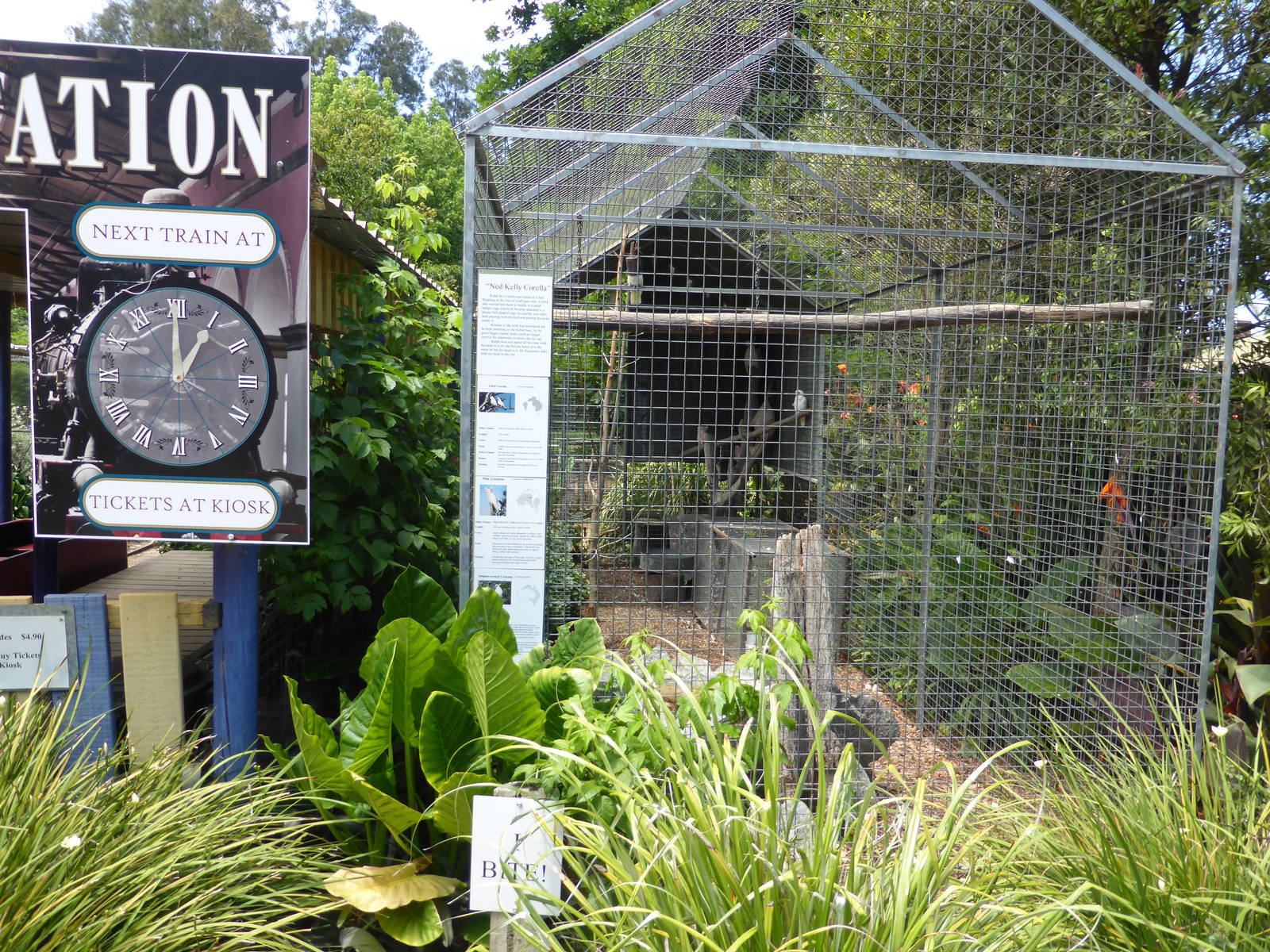 Cockatoo aviary