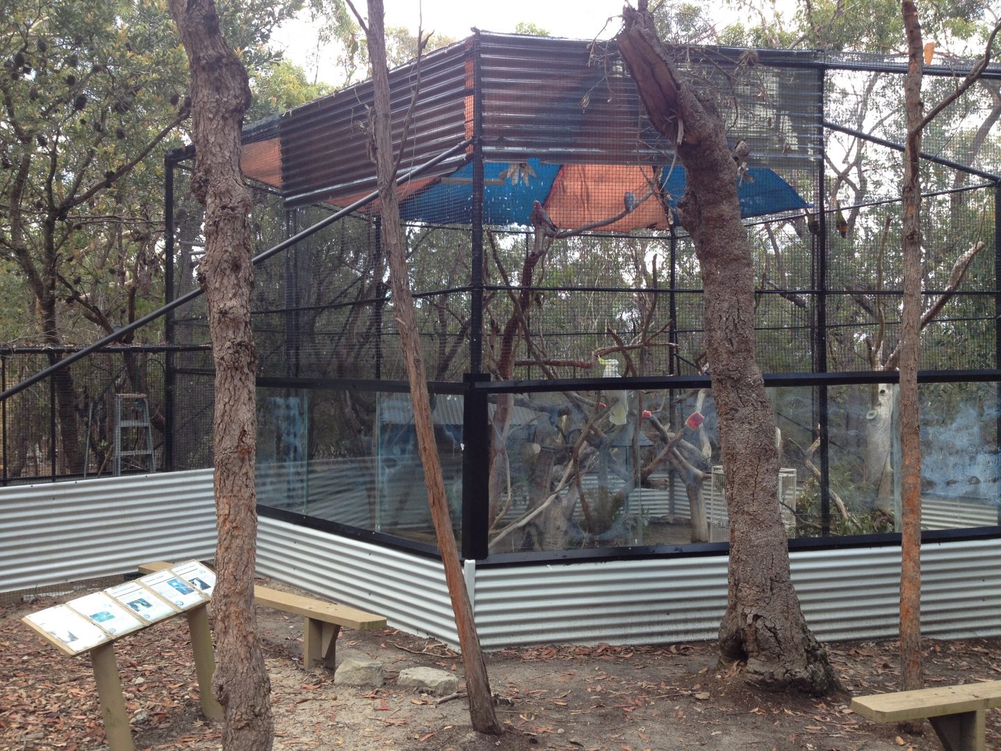 Cockatoo aviary