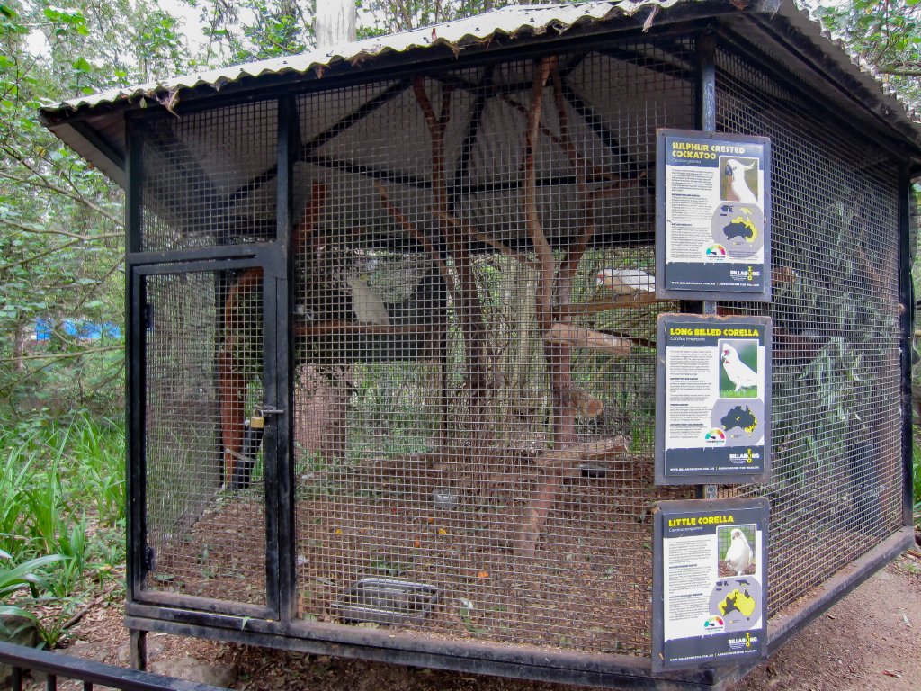 Cockatoo Aviary
