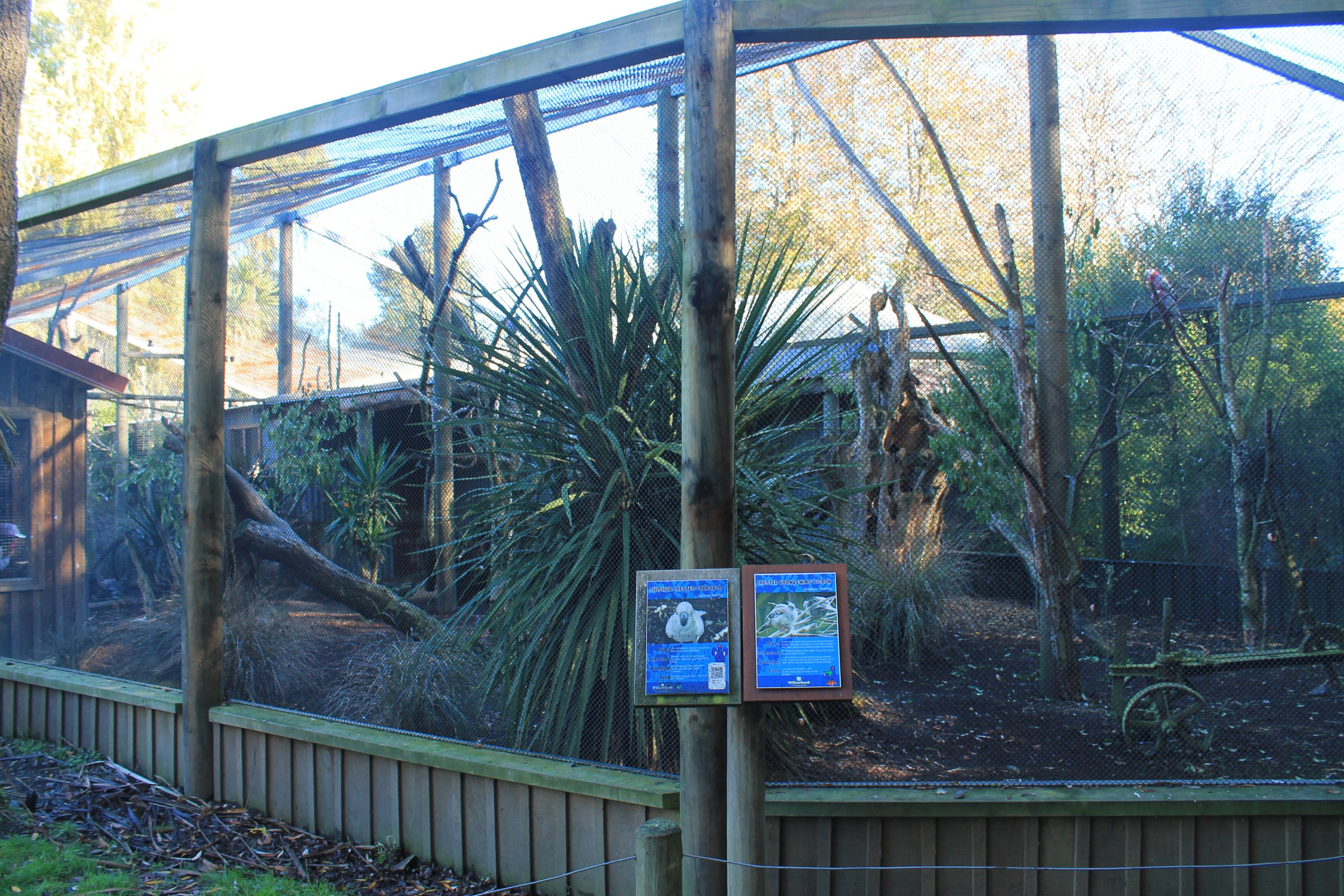 cockatoo aviary