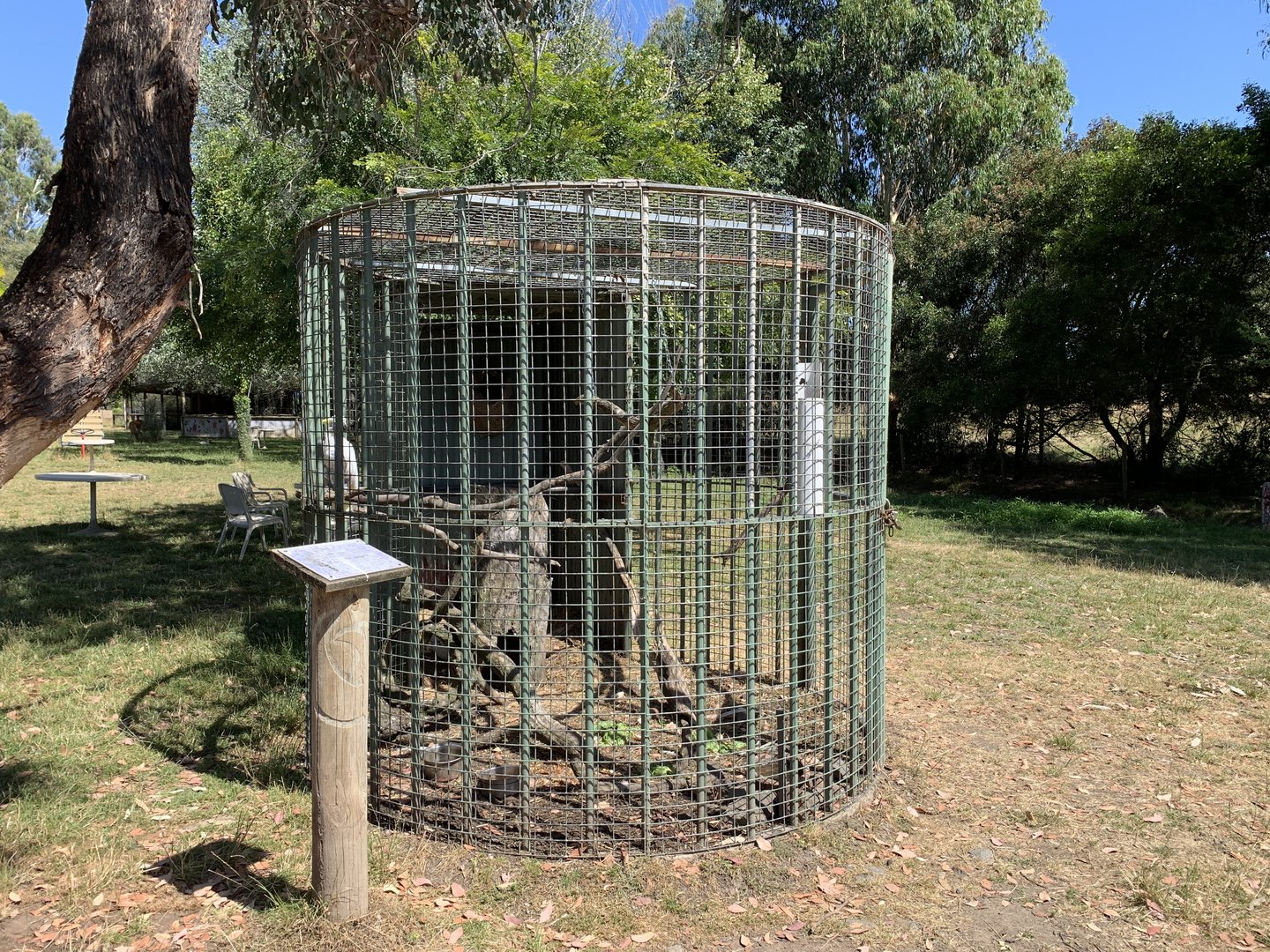 Cockatoo Aviary
