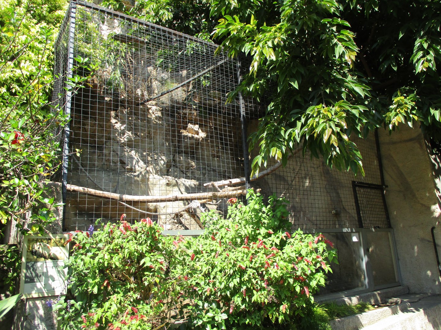 Cockatoo cage
