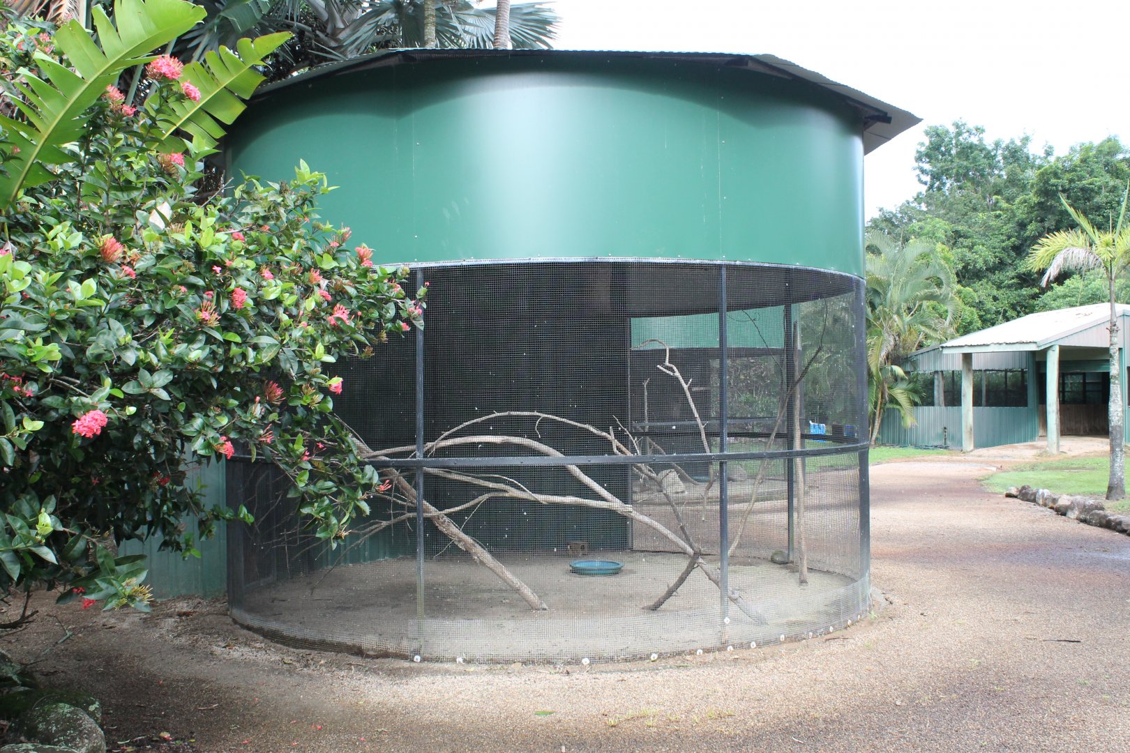 Cockatoo/Dove enclosure