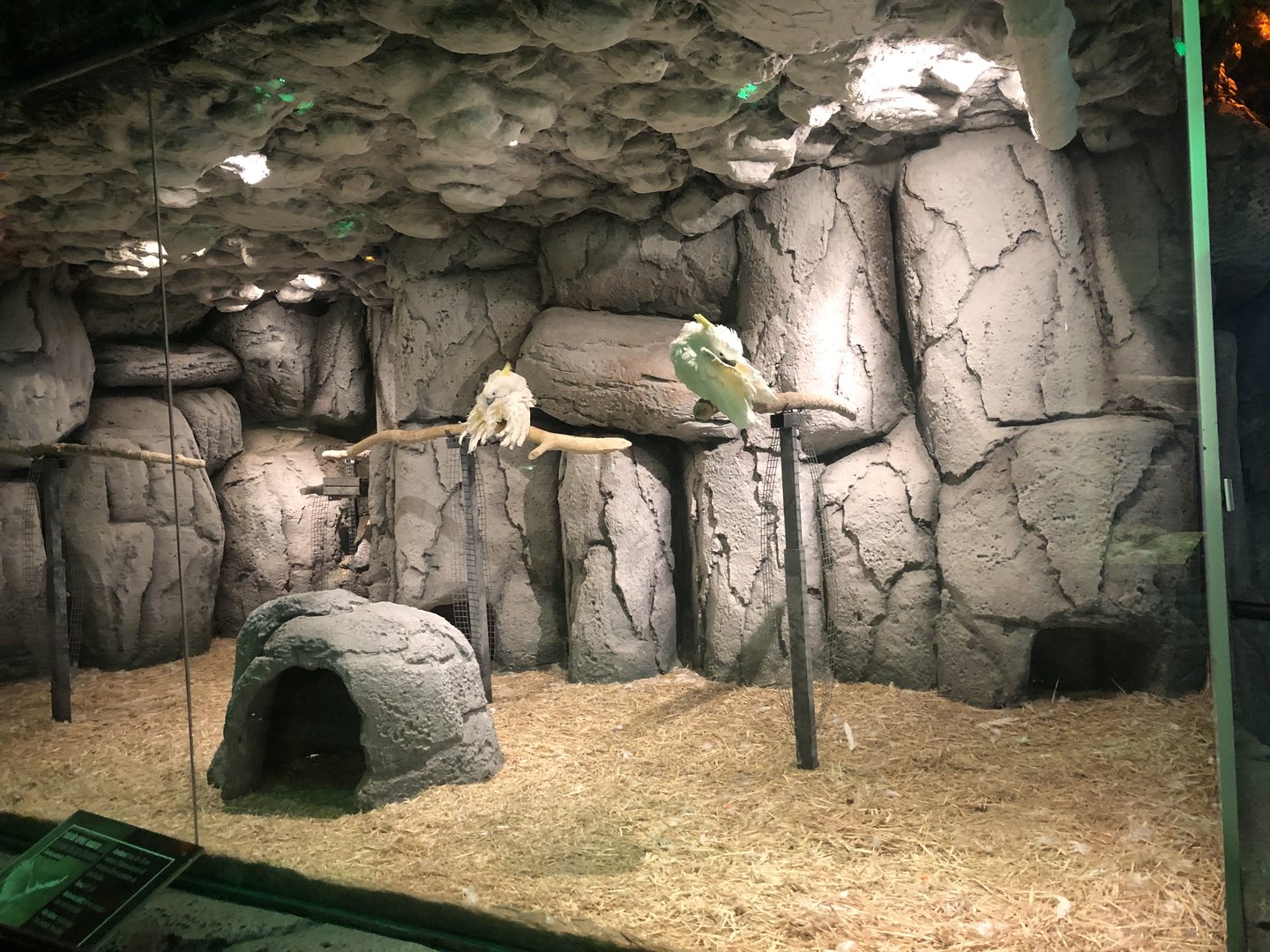 Cockatoo Enclosure at Aqua Vega