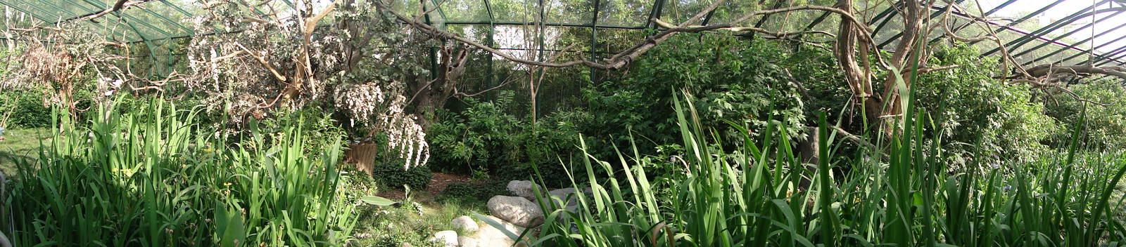 Cockatoo enclosure