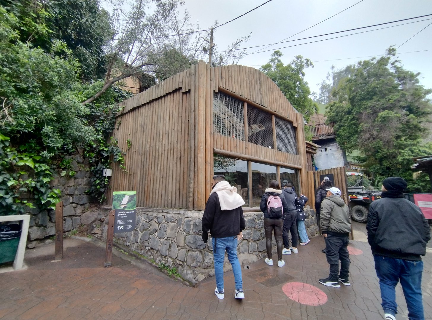 Cockatoo exhibit - Santiago zoo (Zoologico nacional)