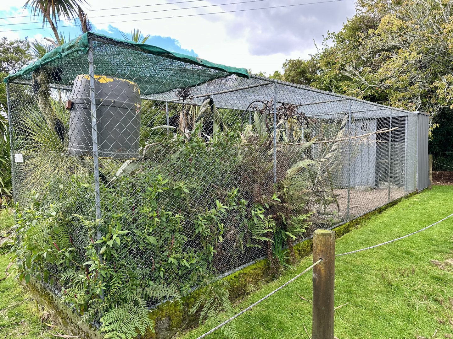 Cockatoo/Galah Aviary