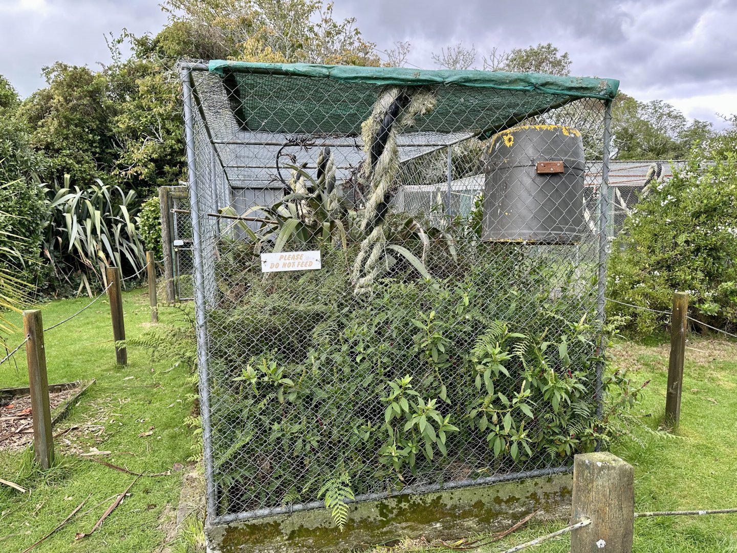 Cockatoo/Galah Aviary