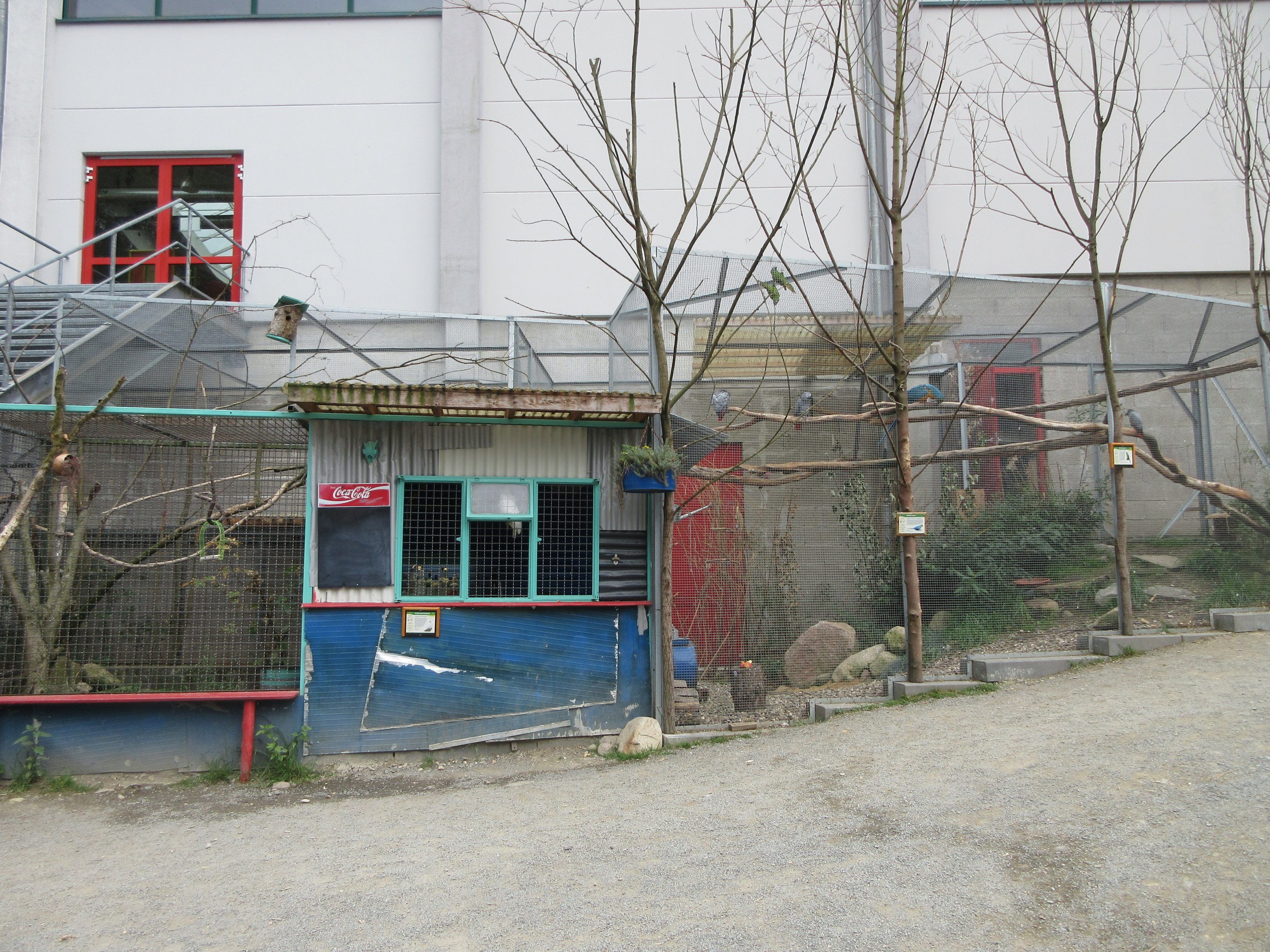 Cockatoo/Macaw/Agouti 'Ramshackle' Exhibit