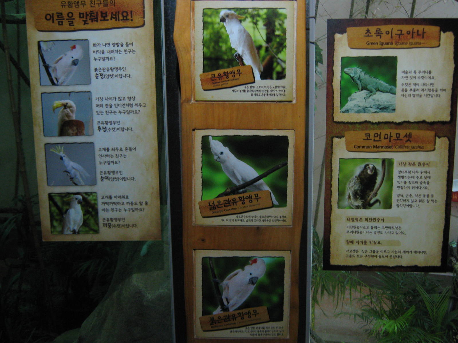cockatoo signage in the Bird House