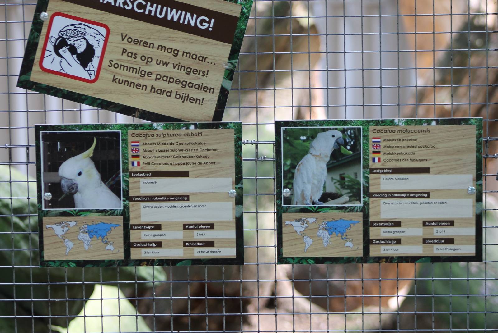 Cockatoo-signs and warning sign