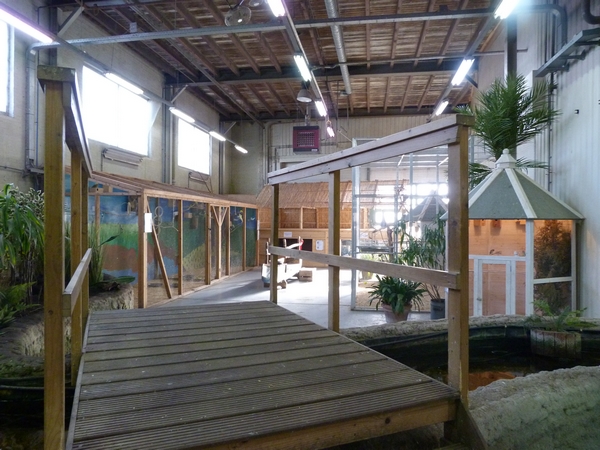 Cockatoos, small birds, Prairiedogs (back)