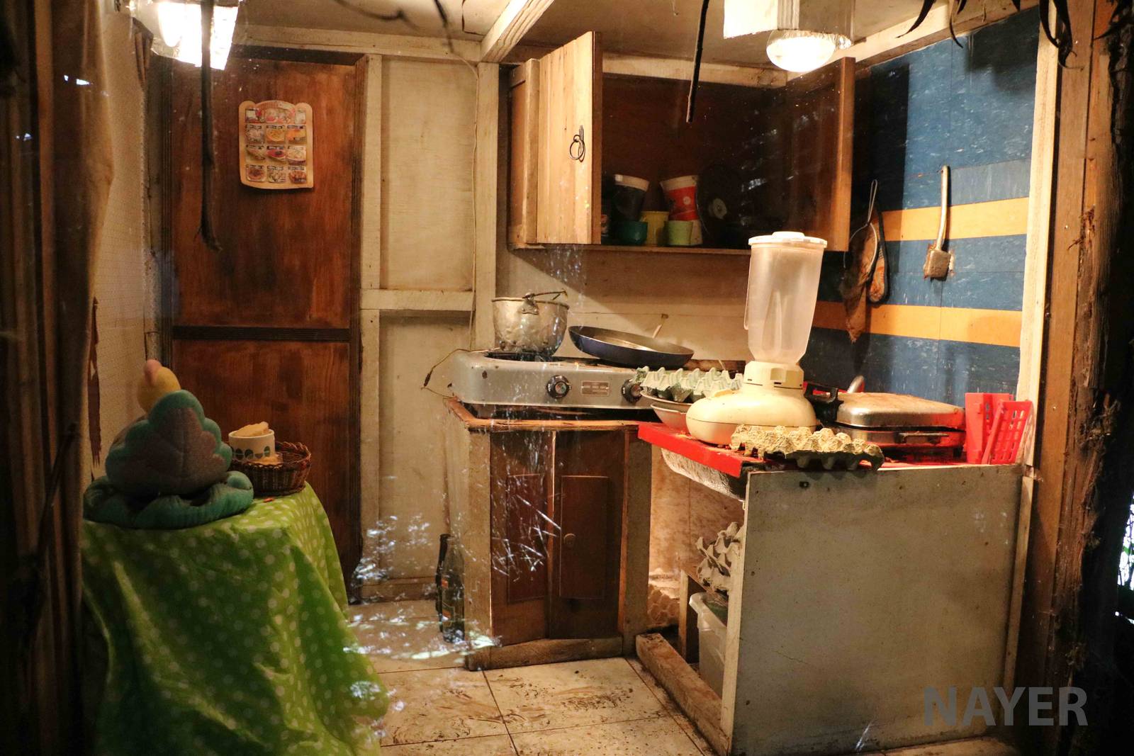 Cockroach display - Bioparque la Reserva, March 2016