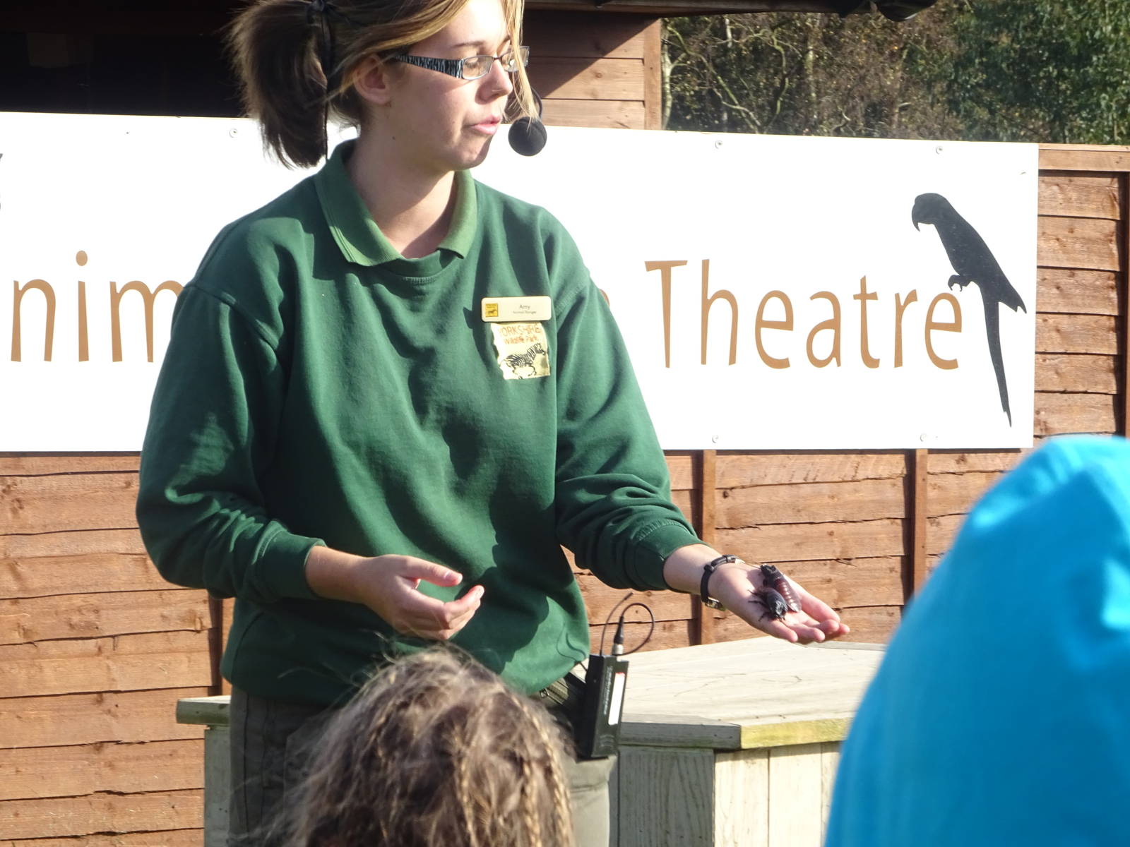 Cockroaches at the Animal Action Theatre at Yorkshire Wildlife Park