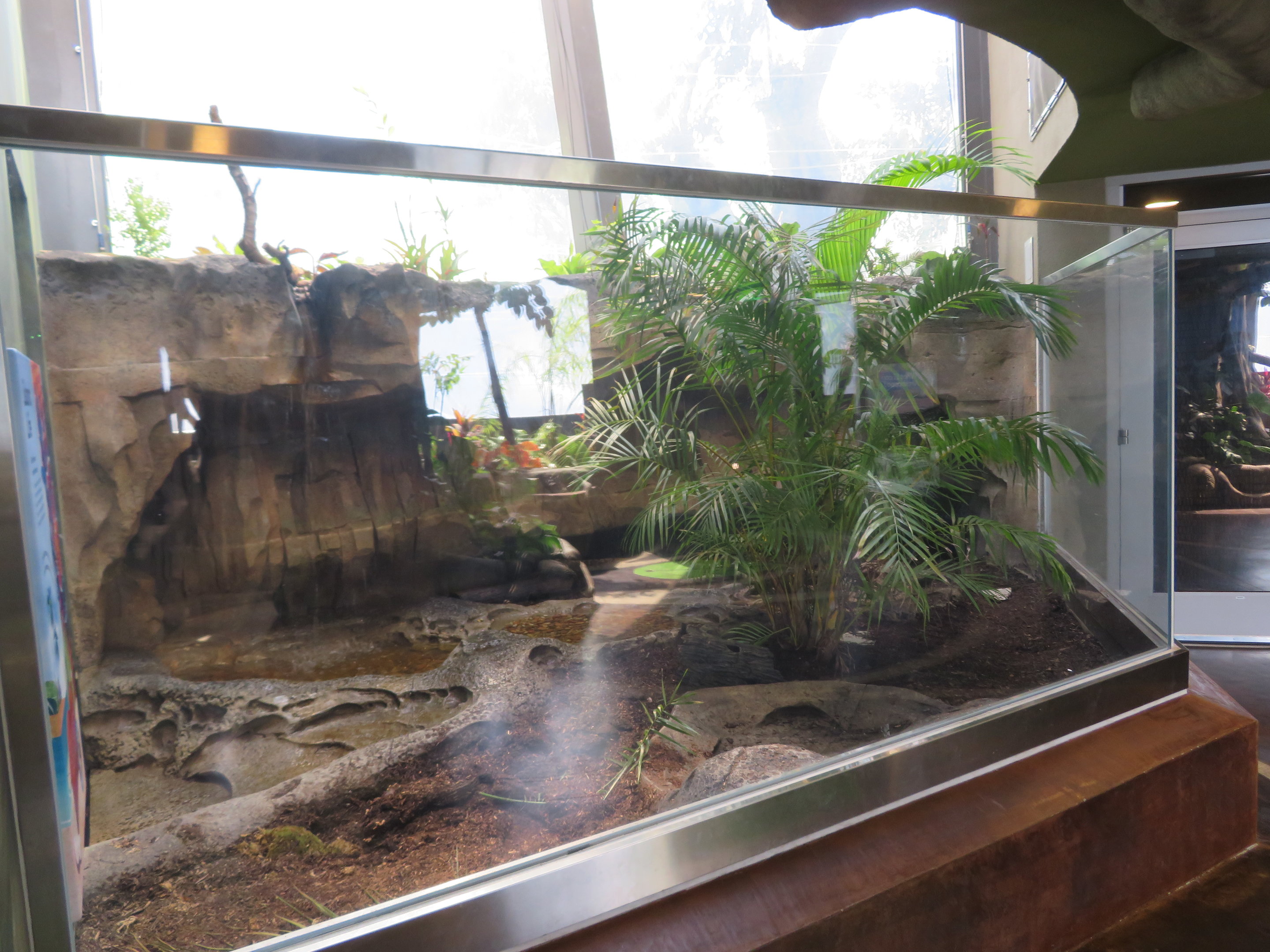 Coconut Crab Exhibit