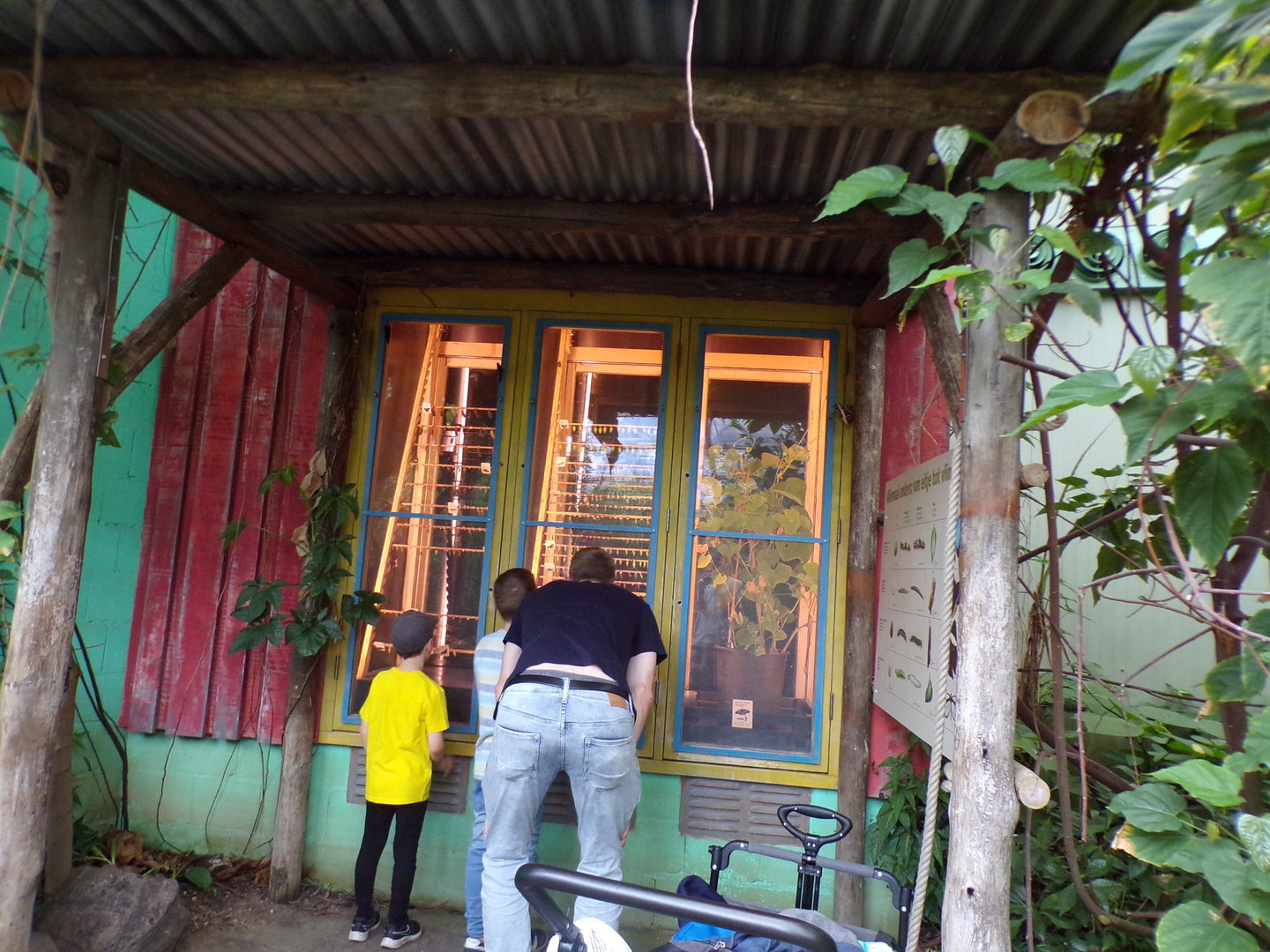 Cocoon section 6.7.23