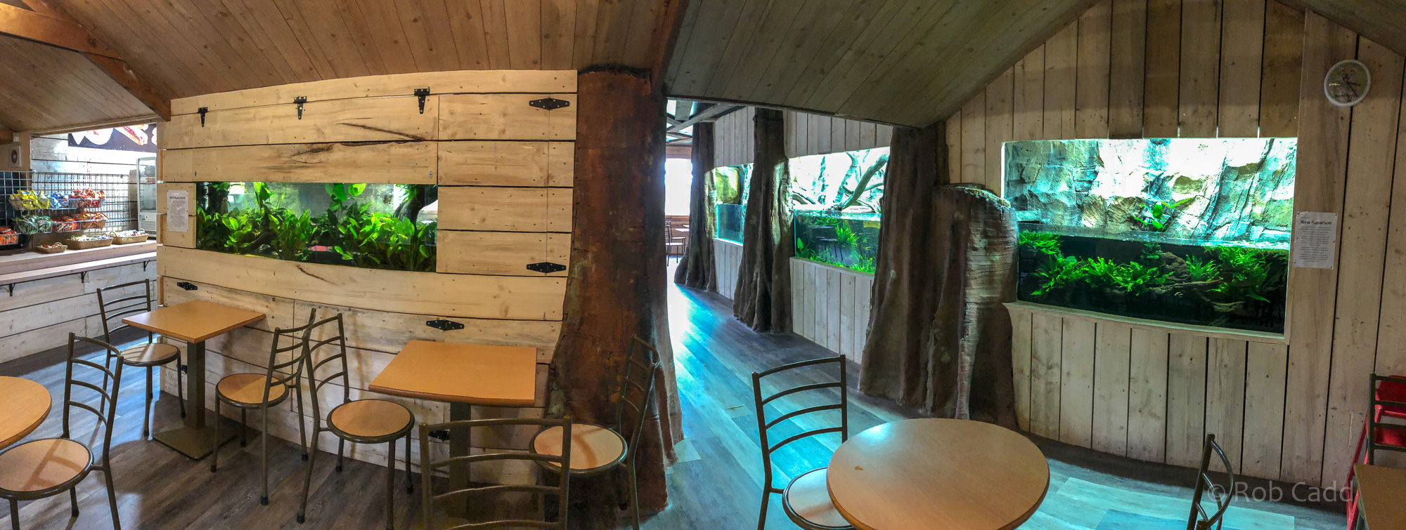 Coffee shop / Aquarium : Hamerton : 29 Sep 2019