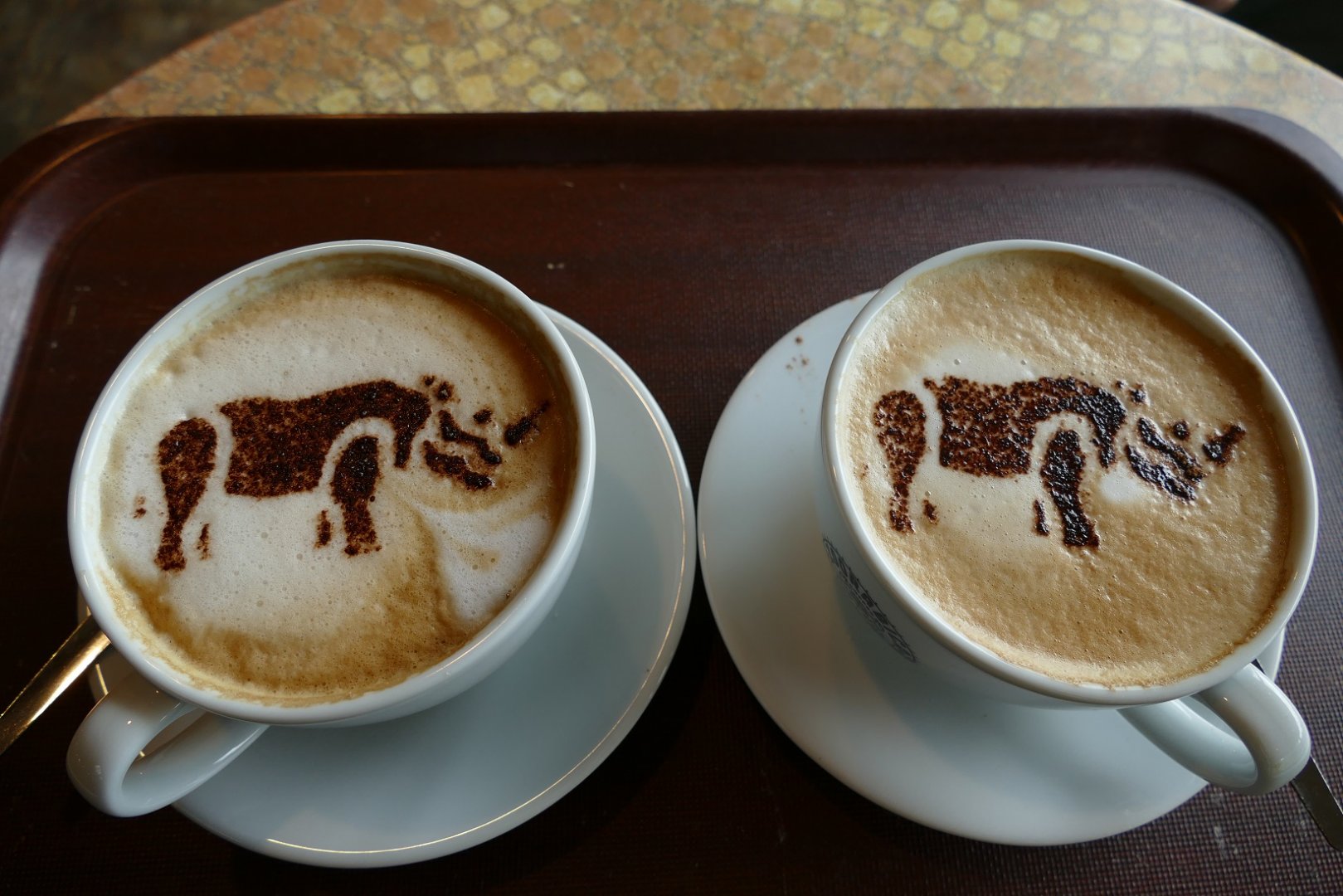 Coffee with rhinos, September 2019