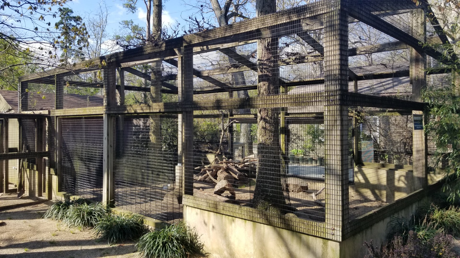 Cohanzick Zoo - African crested porcupine