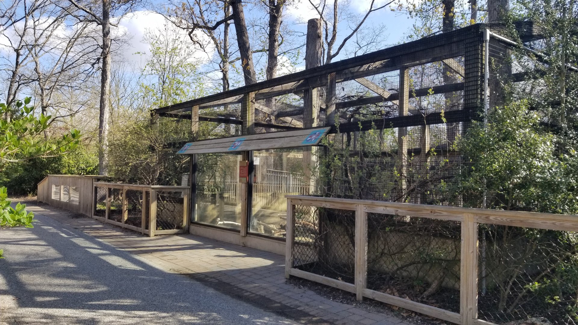 Cohanzick Zoo - African crested porcupine