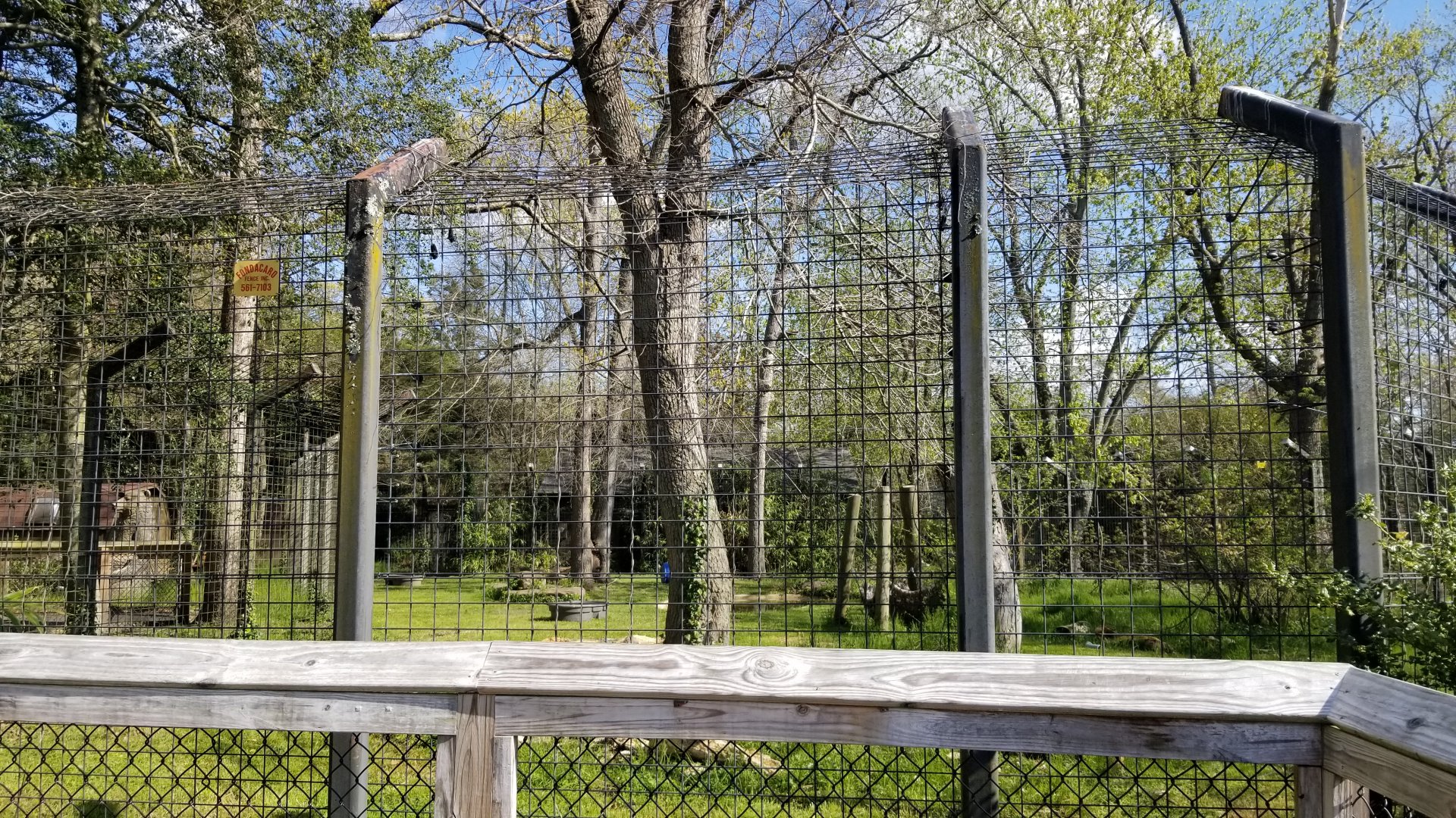 Cohanzick Zoo - Asiatic black bear