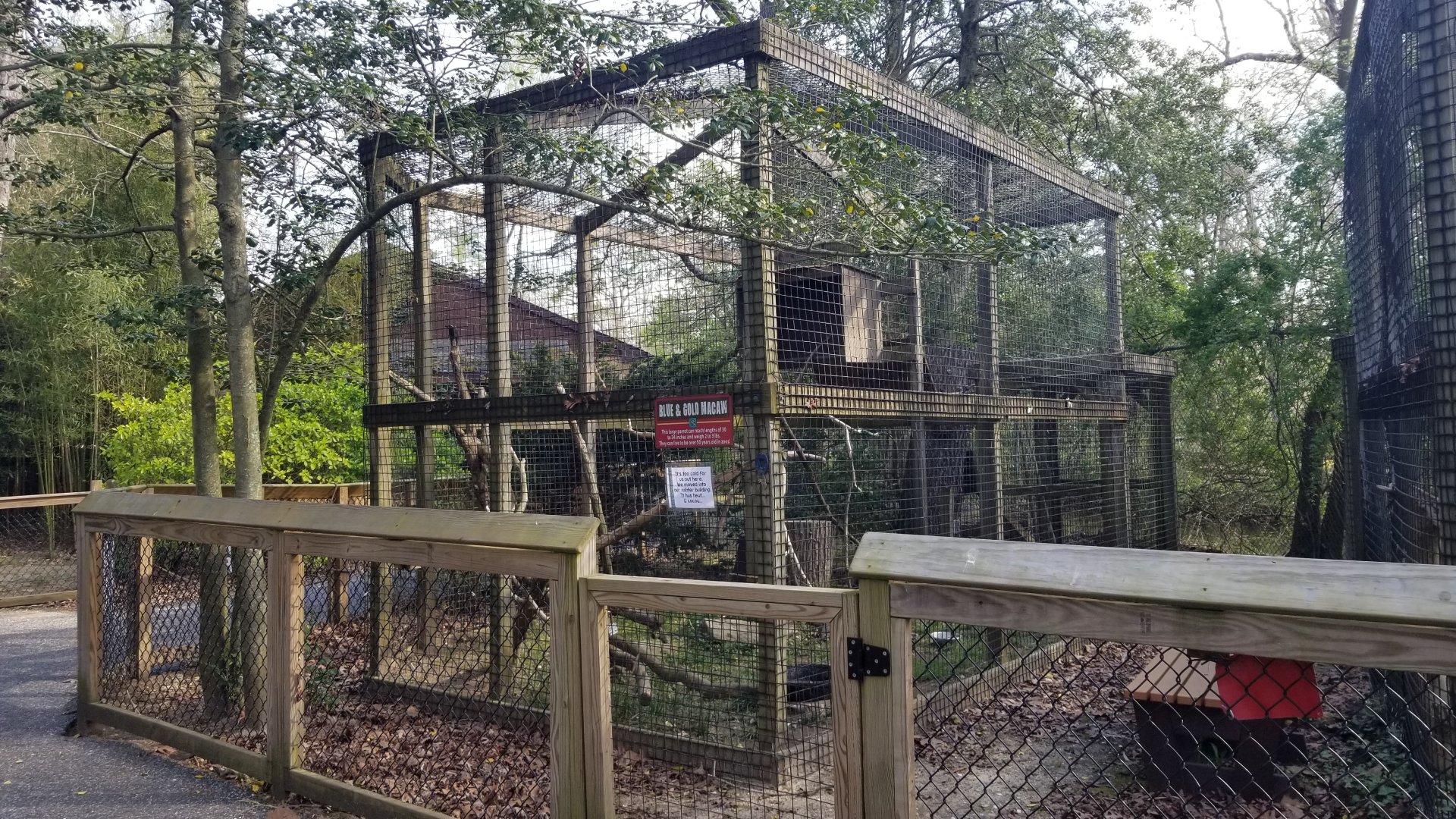 Cohanzick Zoo - Black & gold macaw