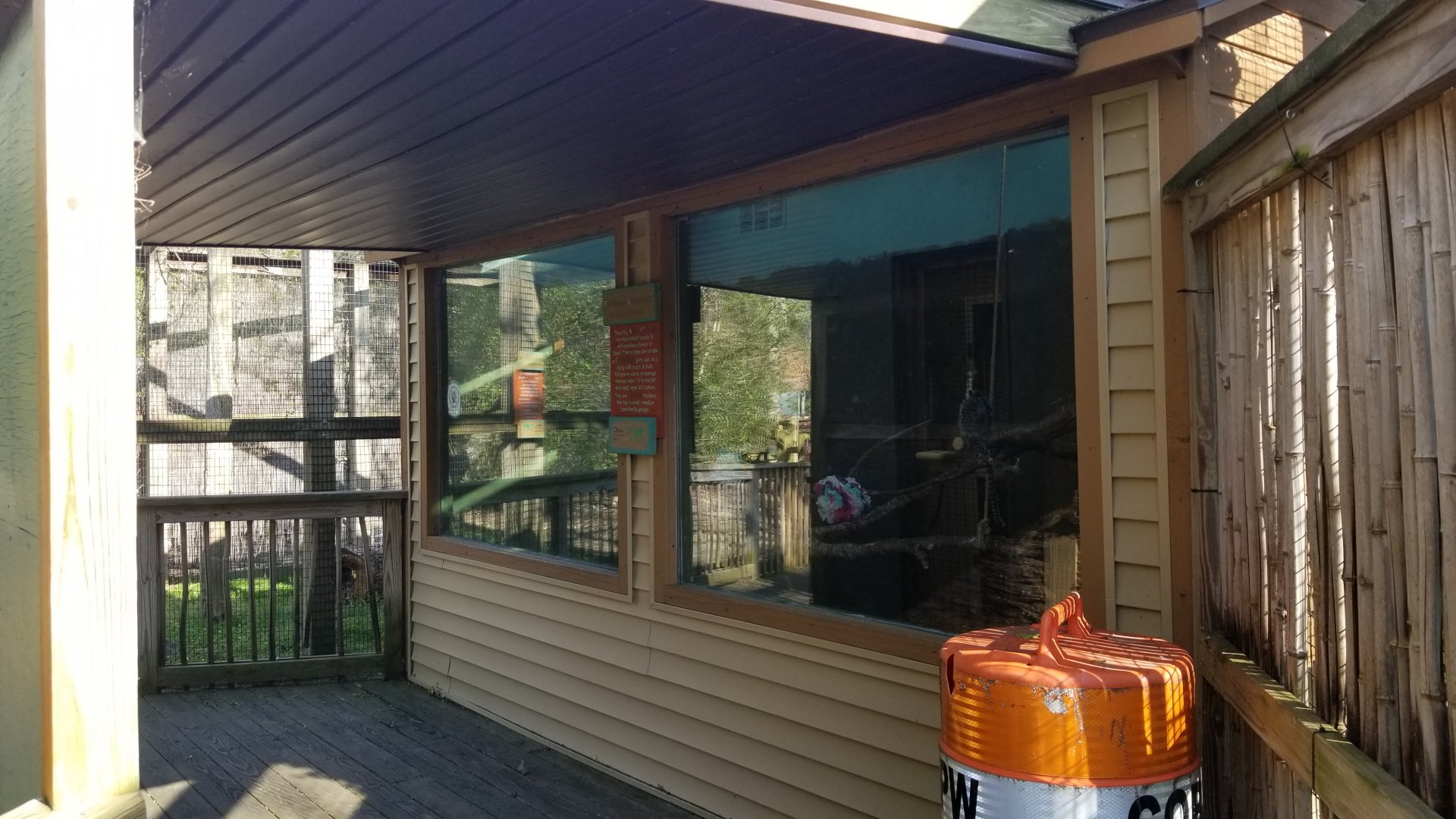 Cohanzick Zoo - Common marmoset