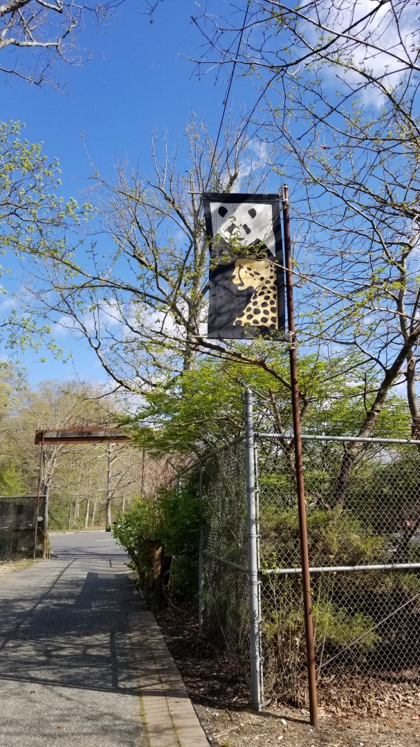 Cohanzick Zoo - GIant panda and cheetah banner