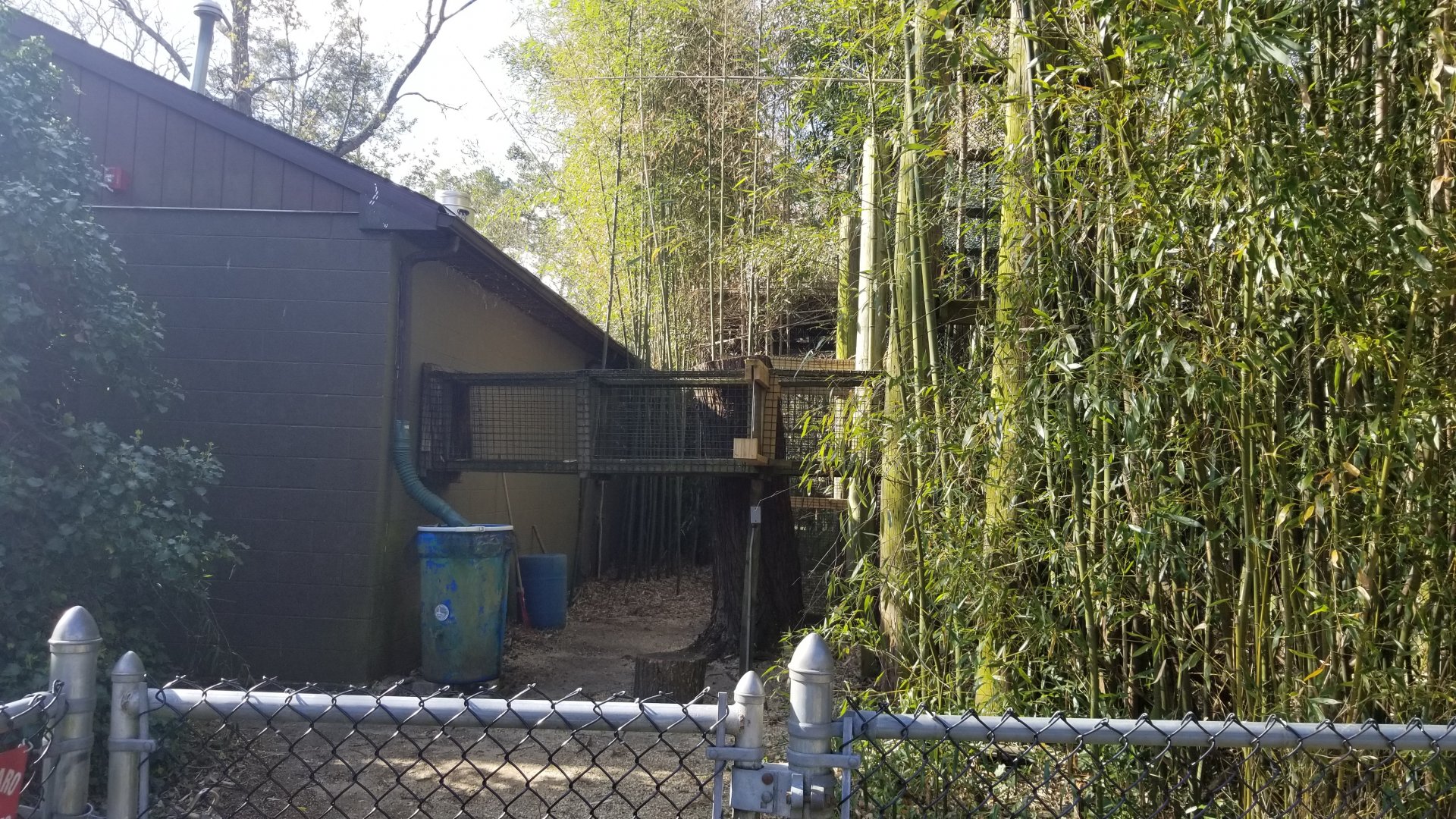 Cohanzick Zoo - Gibbon pathway to building