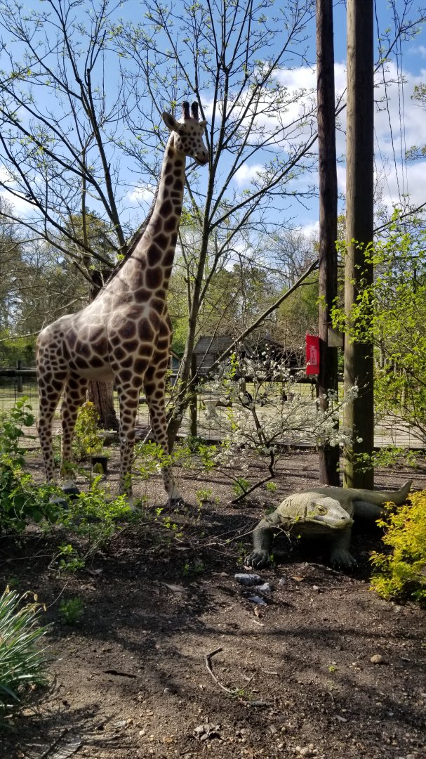 Cohanzick Zoo - Giraffe and komodo dragon statues