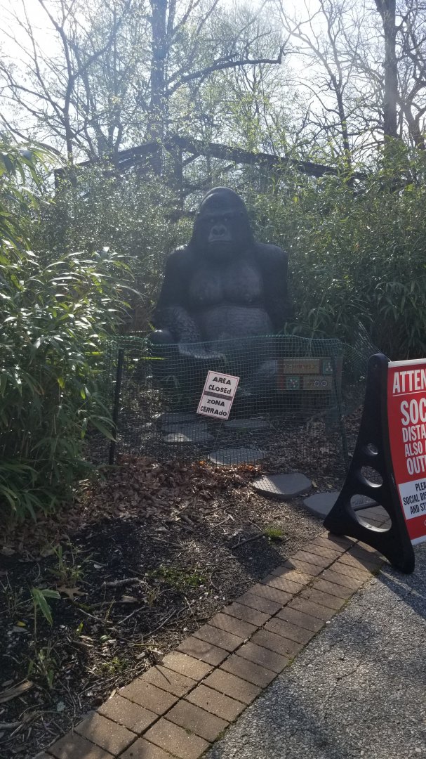 Cohanzick Zoo - Gorilla statue