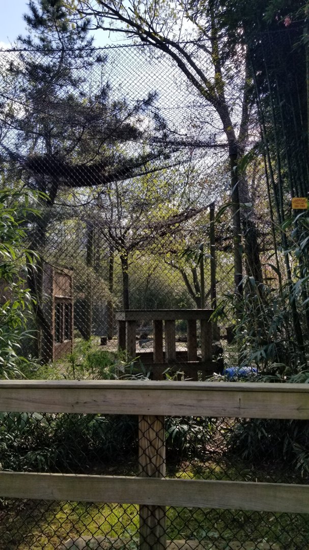 Cohanzick Zoo - Leopard